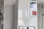 贝雷塔壁挂炉回水管不热的修理方法（解决贝雷塔壁挂炉回水管不热的实用技巧）