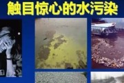 饮水机污染（了解饮水机污染问题）