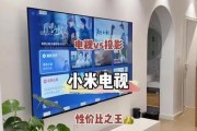 投影仪开机黑屏的解决方法（如何解决投影仪开机后无显示问题）