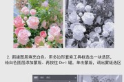 如何利用PS制作精美效果图（掌握PS效果图制作流程）