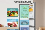 如何修复海信电冰箱故障EF代码（简单方法让您的电冰箱重获新生）