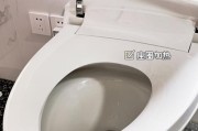 科勒马桶滴滴响问题分析与解决方法（解密智能马桶滴滴响的背后原因）