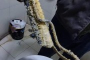 解决伊莱克斯热水器报E3故障的方法（简单而有效的维修处理技巧）