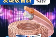 郁夏峰音响音质如何？使用体验有哪些特点？