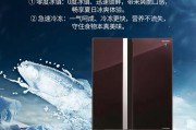夏普变频冰箱常见故障及解决方法（保持冰箱健康运行）