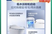 解决恒洁马桶自动流水问题的维修办法（原因分析及关键维修技巧）