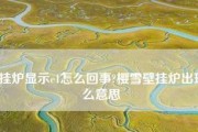 探索樱雪壁挂炉的各种代码应用（揭秘樱雪壁挂炉的代码魅力与应用前景）