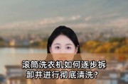 用白醋清洗滚筒洗衣机的方法（简单易行的清洗技巧和注意事项）