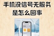 手机卡无服务问题解析（为什么会出现无服务现象）
