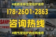 如何鉴别万和壁挂炉的真伪（掌握这些关键方法）