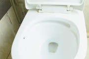 贝朗马桶为何冲不干净（探寻马桶冲不干净的原因及解决方法）