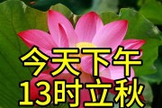 不是迷信！今天13时立秋，“最旺”自己的5件事，别忘告诉身边人