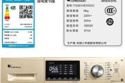 天鹅洗衣机开机故障解决方法（如何解决天鹅洗衣机无法开机的问题）