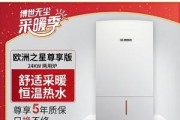 欧洲之星壁挂炉故障排查与维修（解决您家中壁挂炉故障的实用指南）