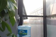 解决净水器水里绿苔问题的有效方法（了解净水器水里出现绿苔的原因及危害）