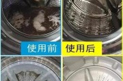 如何正确清洗洗衣机内胆（简单实用的清洗方法和技巧）