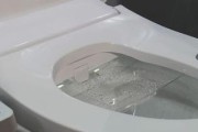 马桶不抽水的原因及解决方法（探究恒洁马桶不抽水的根本原因与解决办法）