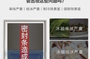 冰箱磁条失去磁性怎么办（如何恢复冰箱磁条的磁性）