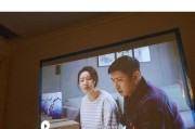 投影仪投影显示发黑问题解决方法（如何应对投影仪投影显示发黑问题）