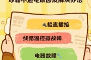 冰箱不通电的原因及排查方案（如何快速排查冰箱不通电的故障）