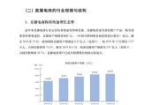 2024抖音电商国货发展年度报告