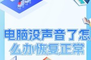 电脑专用耳机无声音问题如何解决？