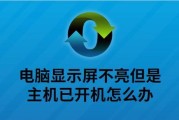 电脑显示器不亮的原因与解决方法（探寻黑暗中的屏幕）