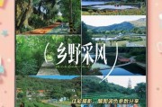 佳能相机如何拍摄远景效果更好？
