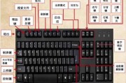 苹果键盘翻译功能怎么用？操作步骤是怎样的？