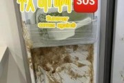 冰箱失去保鲜与制冷功能（家用冰箱突然失去保鲜与制冷功能）