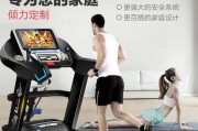 如何解决跑步机下蹲时的响声问题（有效降低跑步机运动过程中产生的噪音）