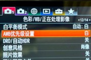 索尼相机白平衡如何调整？参数设置有哪些技巧？
