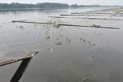 如何通过手机控制河道养鱼摄像头拍照？