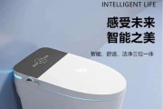 松下智能马桶风温不热的原因及故障排除方法（解决松下智能马桶风温不热问题的有效方法）