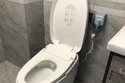 解决恒洁马桶冲不下去的方法（如何处理马桶冲不下去的问题）