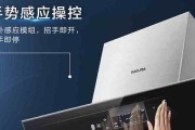 樱花油烟机的清洁技巧（免清洗油烟的新方法）