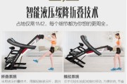 如何解决步龙跑步机黑屏问题（有效解决步龙跑步机黑屏故障）