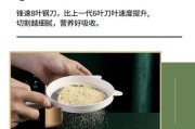 申花破壁机e2故障解析与修复（探寻申花破壁机e2故障的根源）