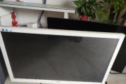 解决显示器左下角出现黑点问题的方法（轻松摆脱显示器黑点）