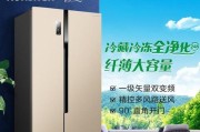容声冰箱显示F1故障原因与维修方法（容声冰箱F1故障的解析与维修步骤详解）