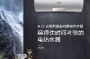 如何解决常见的以史密斯热水器故障问题（详细介绍以史密斯热水器故障的解决方法）