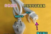 破壁机插头有胶怎么办（轻松应对破壁机插头胶化的情况）