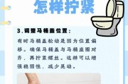 马桶堵塞怎么办？解决马桶堵塞问题的方法（有效清理马桶堵塞的技巧与注意事项）