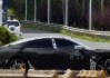 小米新款SU7L加长版新车曝光，但何时才有现车？