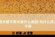 夏普洗衣机进水不停的原因及解决方法（揭秘夏普洗衣机进水不停的根本原因）