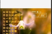 苹果手机拍照时如何添加文字字样？