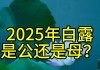 “公白露丢，母白露收”，2025年白露是公还是母？庄稼收成好不？