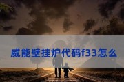威能壁挂炉故障代码F24的维修处理方法（深入解析威能壁挂炉故障代码F24及维修指南）