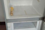 冰箱门发霉怎么清洗（有效的清洁方法）