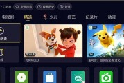 投影仪不支持音轨，如何解决（无声投影怎么办？投影仪音频输出问题解决方案）